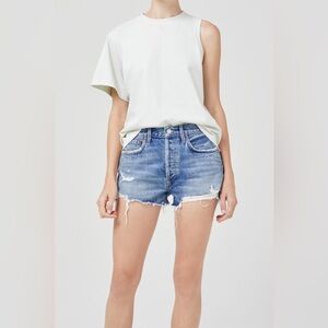 AGOLDE Parker Short in Clutch